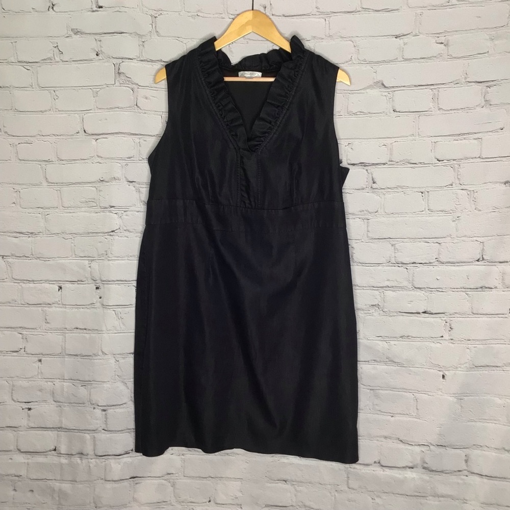 DressBarn Woman Black Denim Stand Up Ruffle Collar V-Neck Dress 18